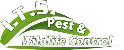 I.T.S. Pest & Wildlife Control - Pest And Wildlife Control Serving All Of Massachusetts -617-640-4202
